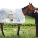 Illustration for article titled Owner Tearfully Releases American Pharoah After Triple Crown Win